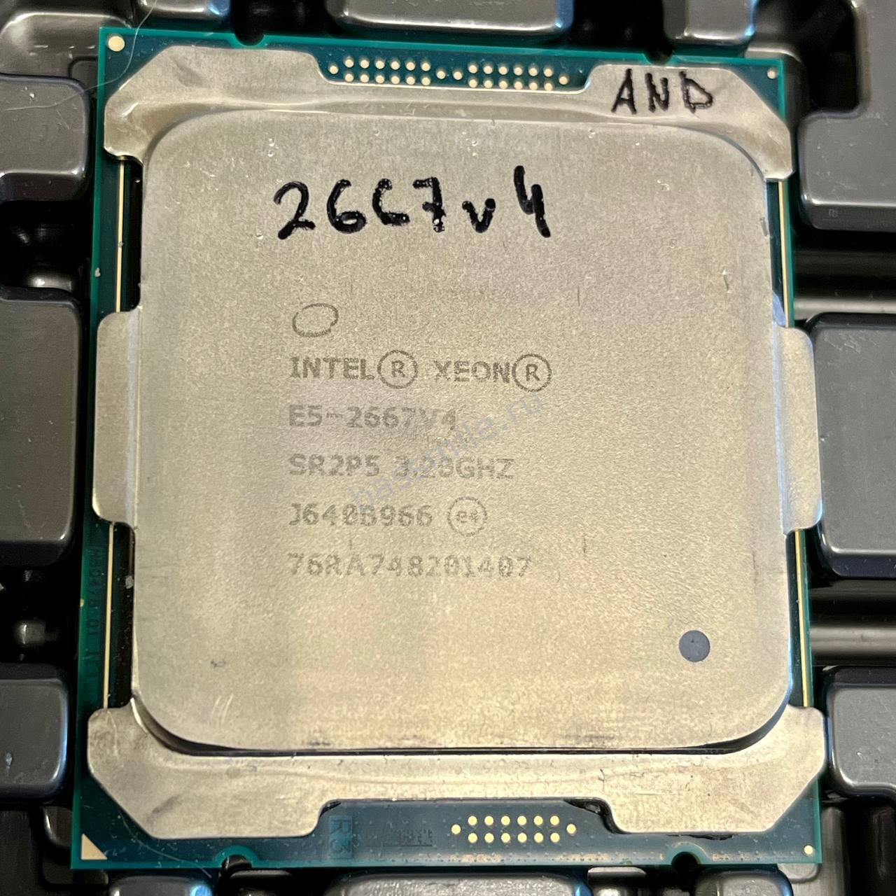 Intel xeon cpu e5 2667. Intel xeon cpu e5 2667