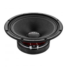 Эстрадная акустика AVATAR MTU-61LE
